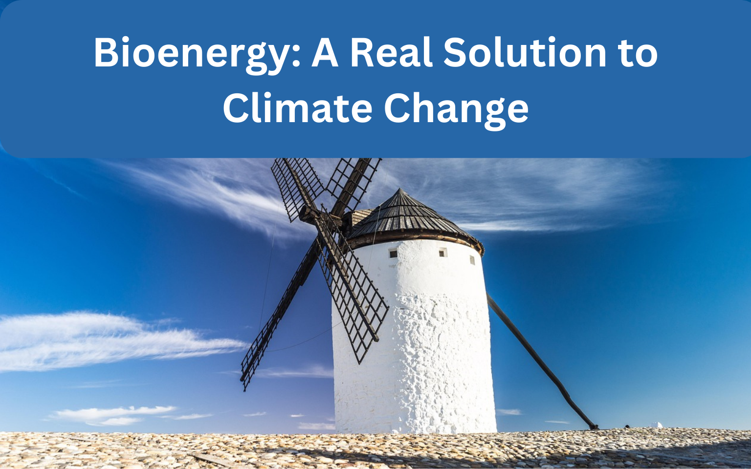 Bioenergy: A Real Solution to Climate Change